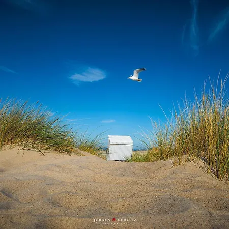 Strandhafer オルペニッツ